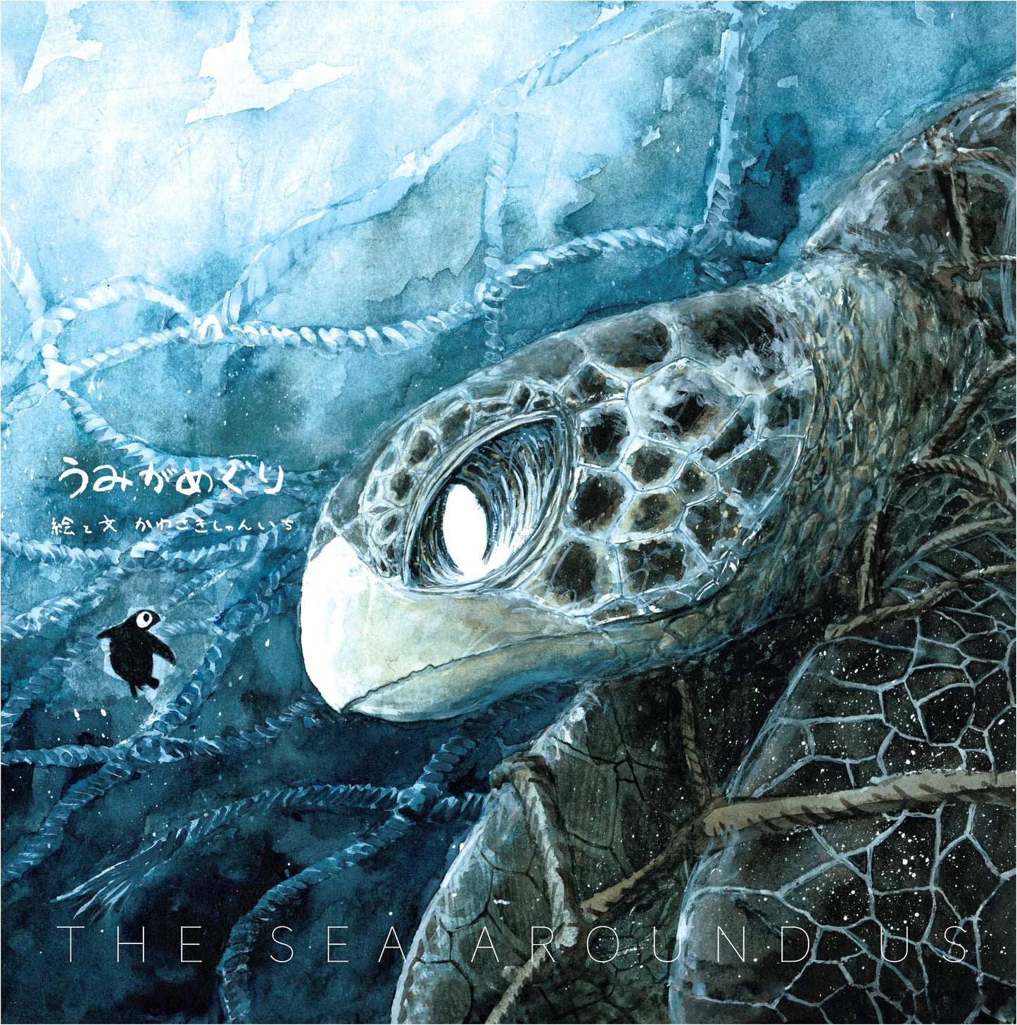 Sea Turtle Journey: A Picture Book Observing Nature