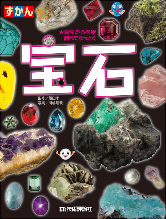 Illustrated Guide to Gemstones: A Comprehensive Visual Encyclopedia