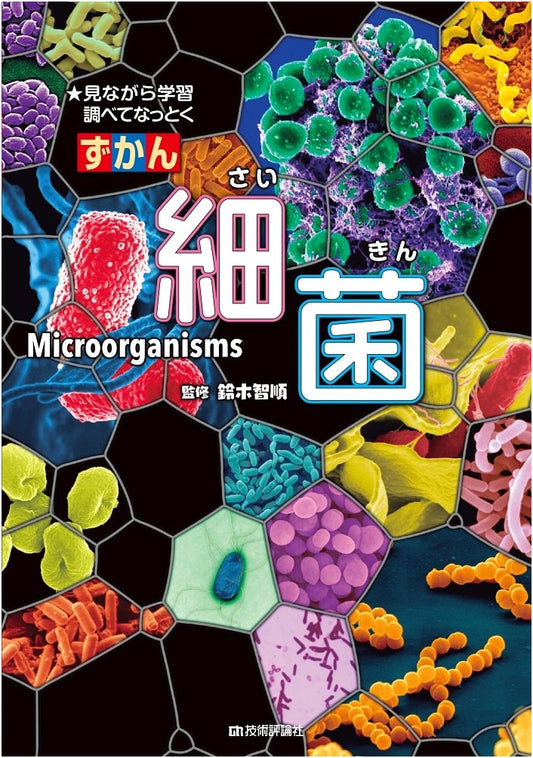 Bacteria: An Illustrated Guide