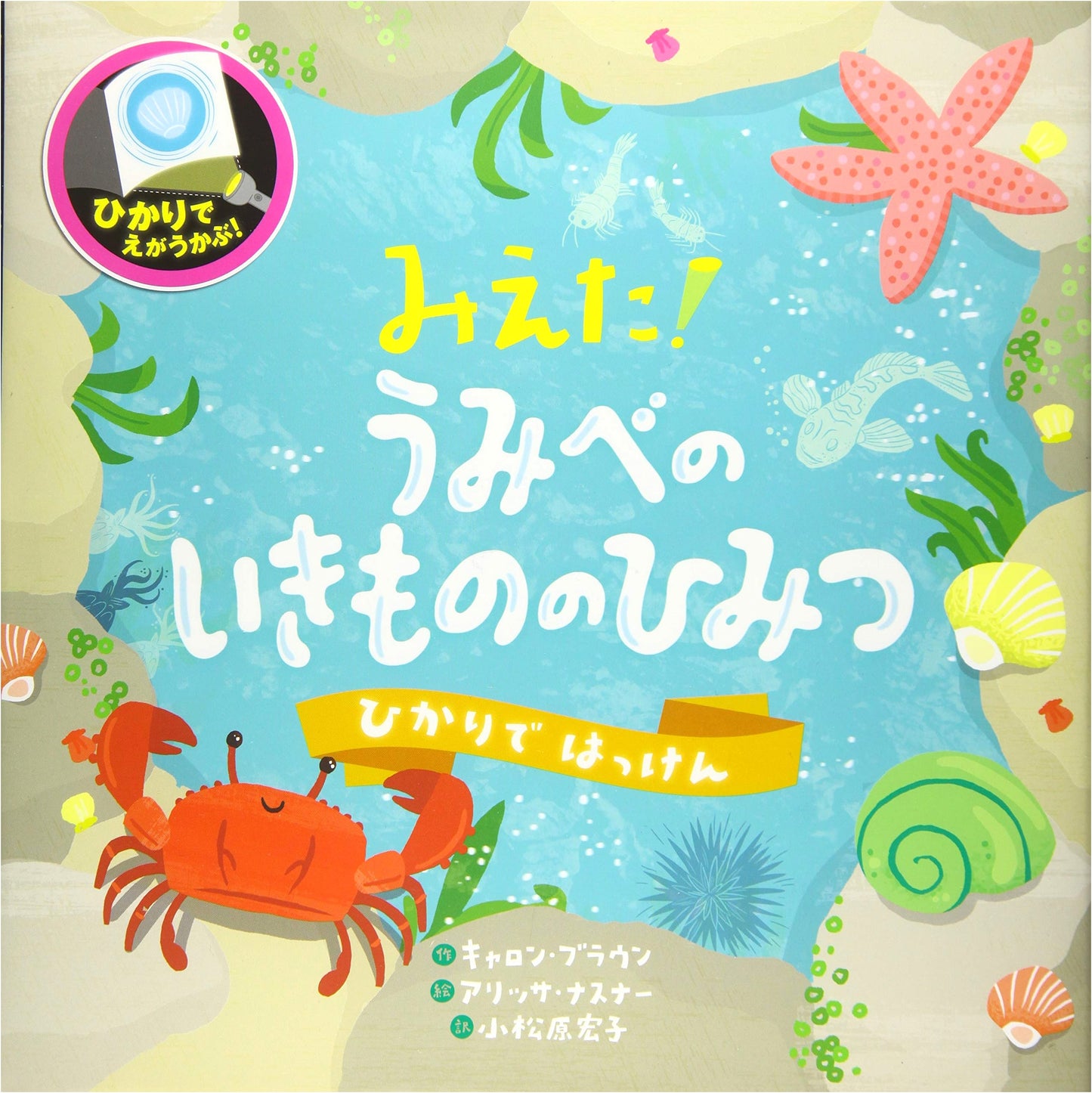I See It! Secrets of Coastal Creatures: A Light Discovery Book