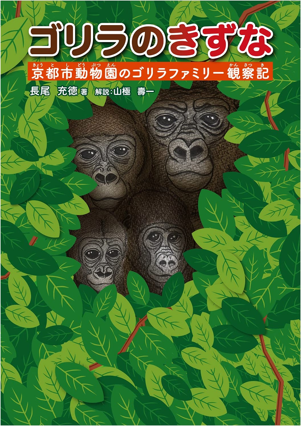 Gorilla Bonds: Observations of the Gorilla Family at Kyoto City Zoo