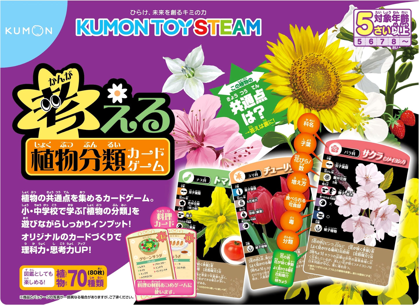 Thinking Plant Classification Card Game (KUMON TOY STEAM)
