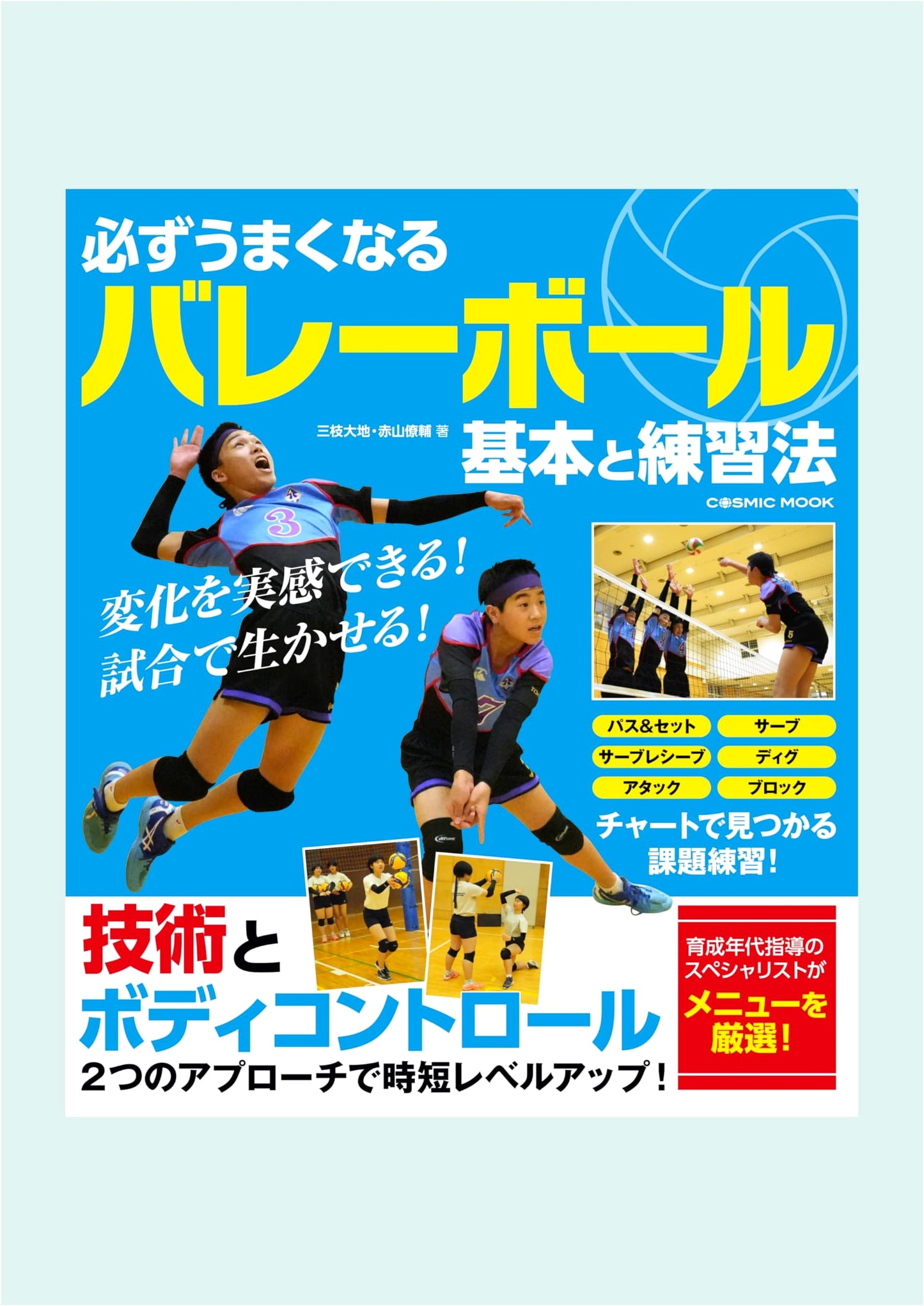 Mastering Volleyball: Essential Techniques & Drills