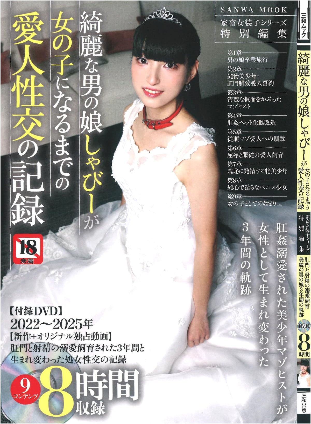 The Record of Shaby's Transformation: A Beautiful Crossdresser Becomes a Woman (SANWA MOOK)