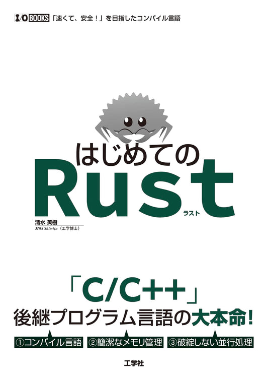 Beginning Rust Programming (I/O BOOKS Series)