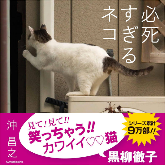 Besshisugiru Neko: Desperate Cats of Japan by Masayuki Oki