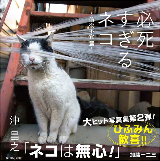 Too Desperate Cats: Lost in the Moment Collection (Tatsumi Mook)