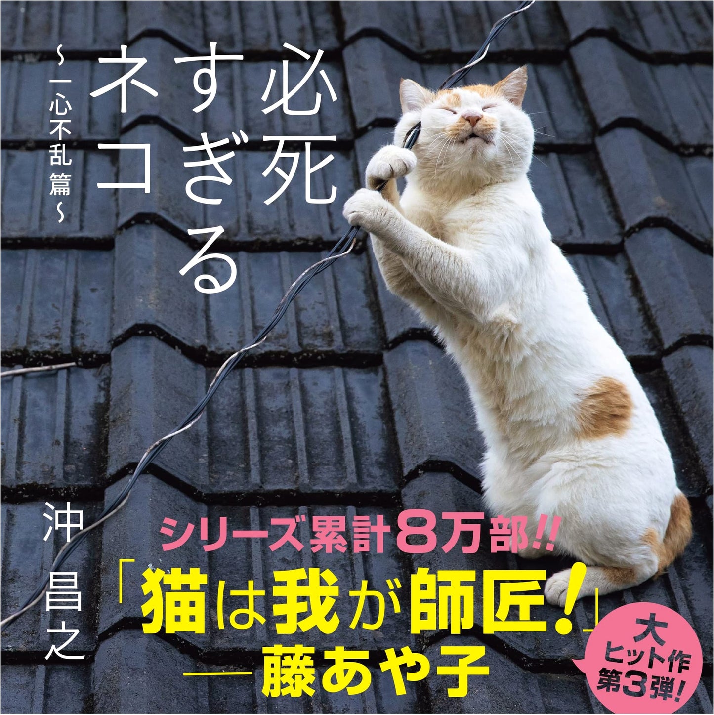 Overzealous Cats: Single-Minded Felines by Masayuki Oki