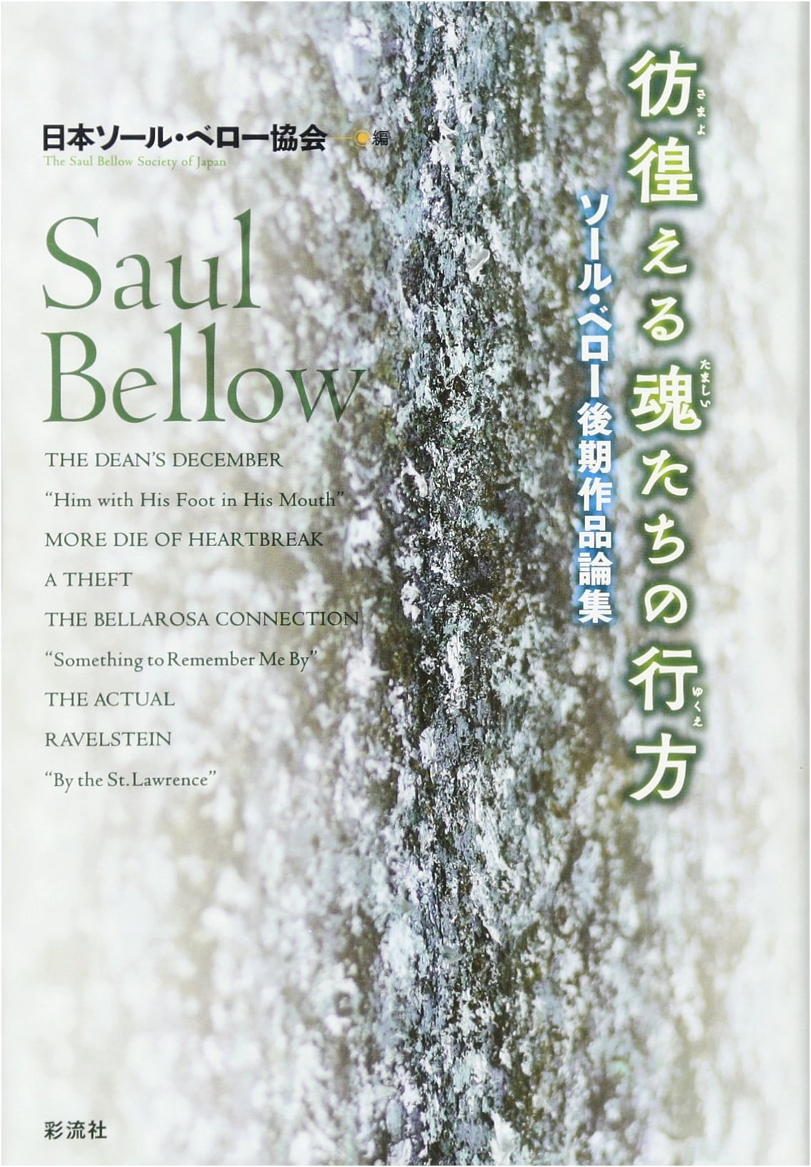 The Whereabouts of Wandering Souls: Essays on Saul Bellow's Late Works