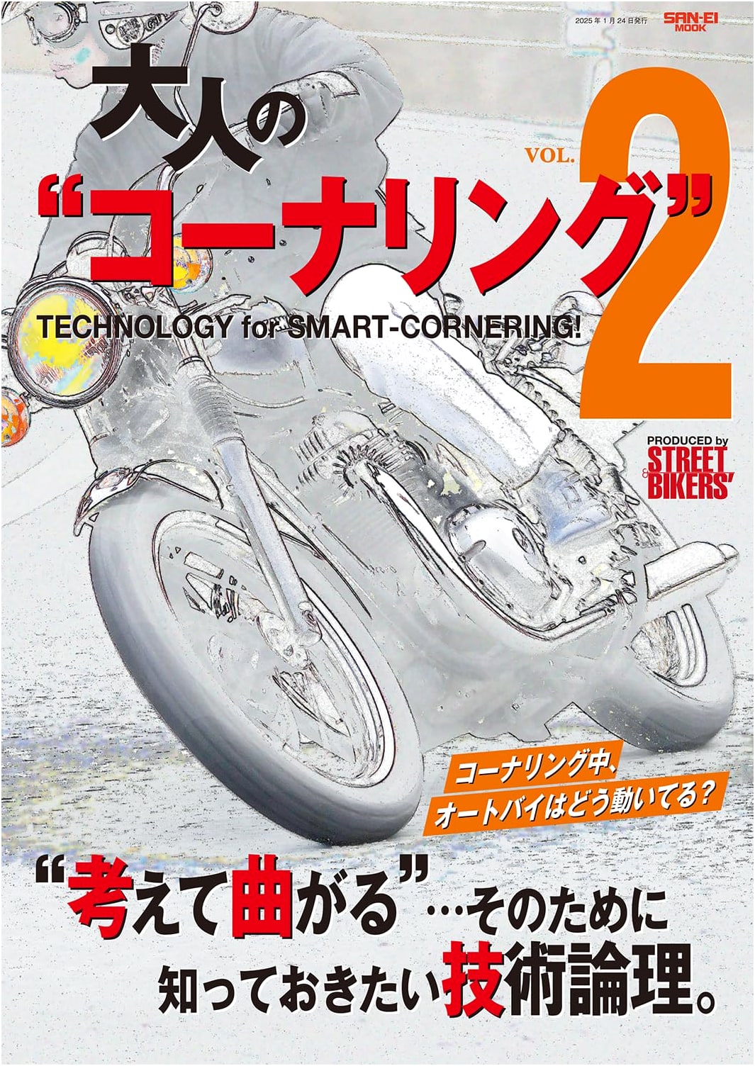 Adult Cornering Vol. 2 (Sanei Mook)