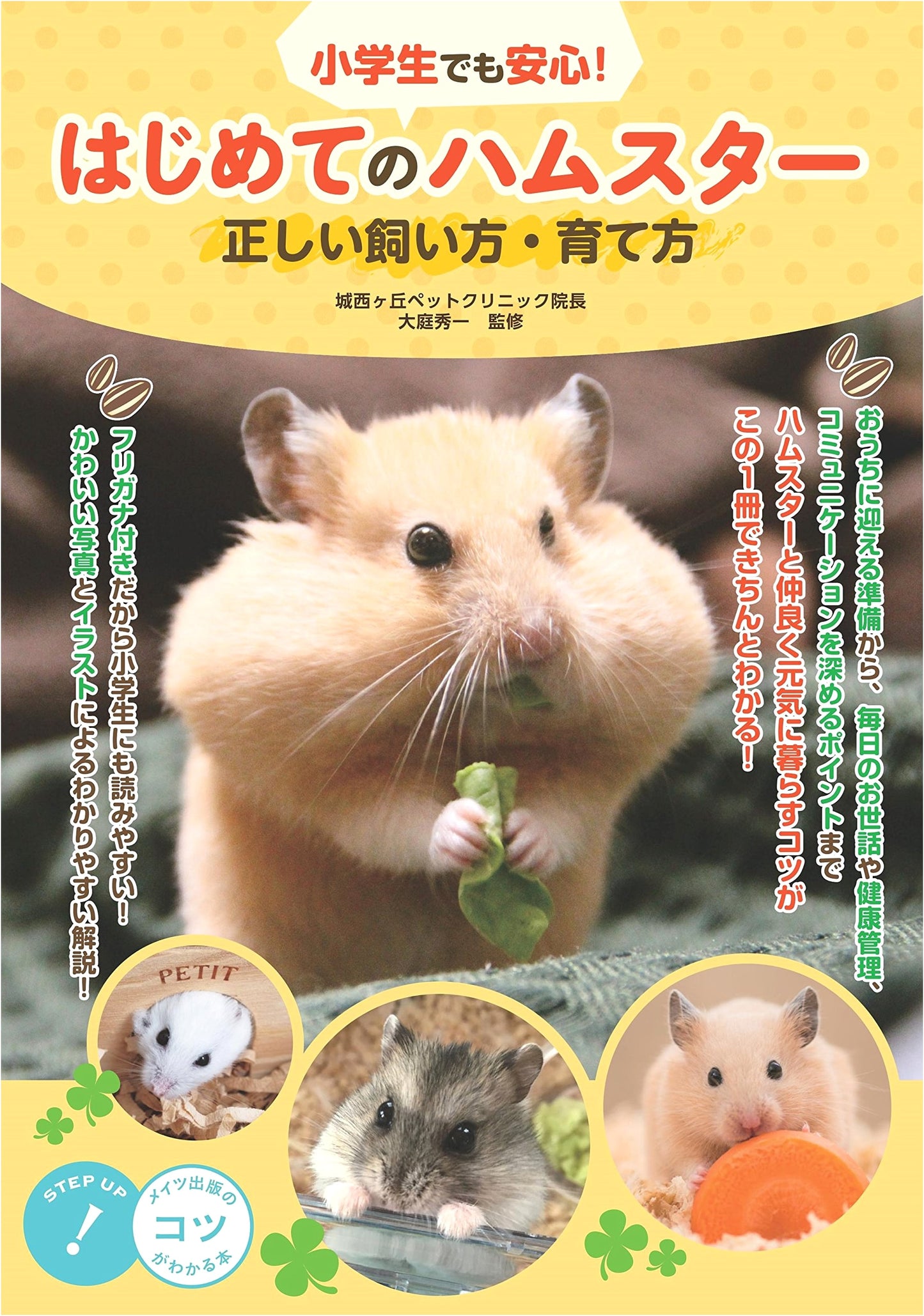 Hamsters for Beginners: A Comprehensive Guide for Kids