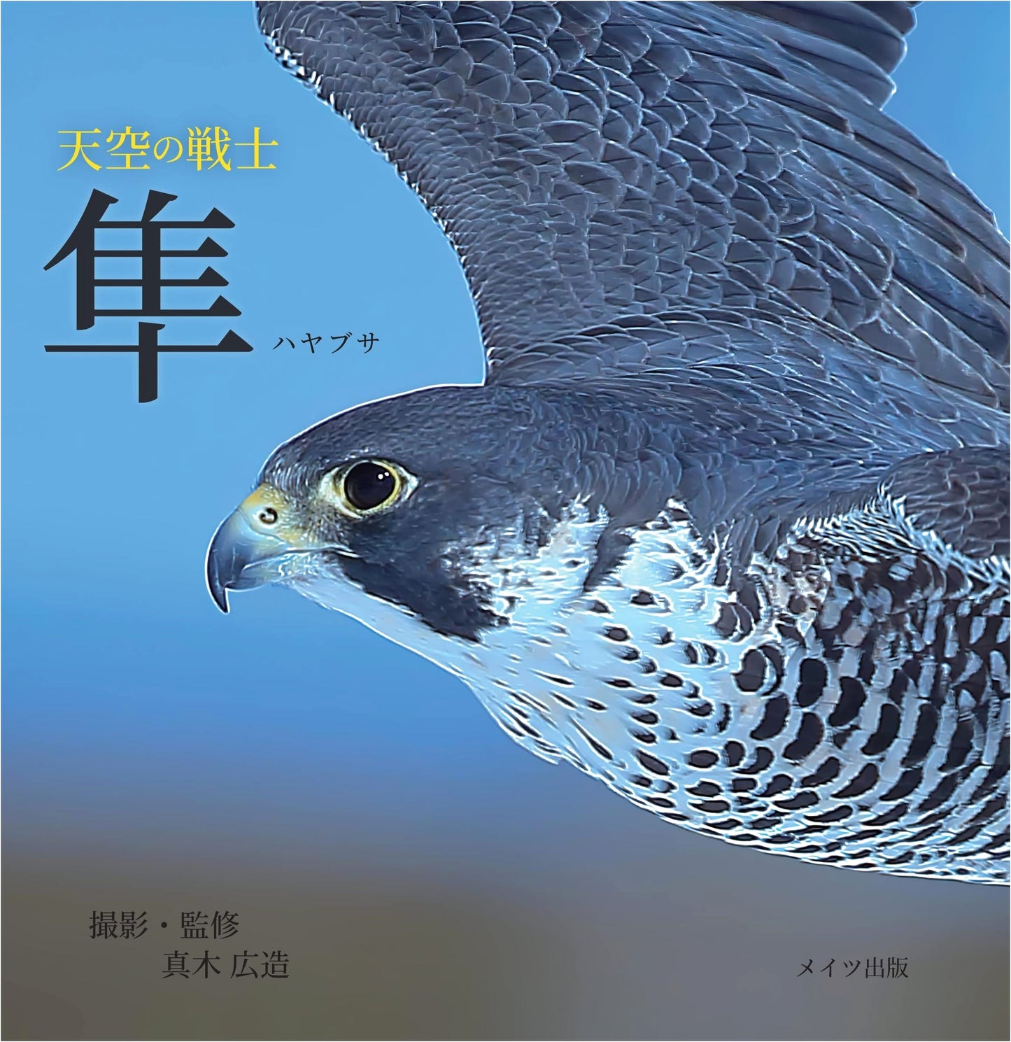 Sky Warriors: Falcon