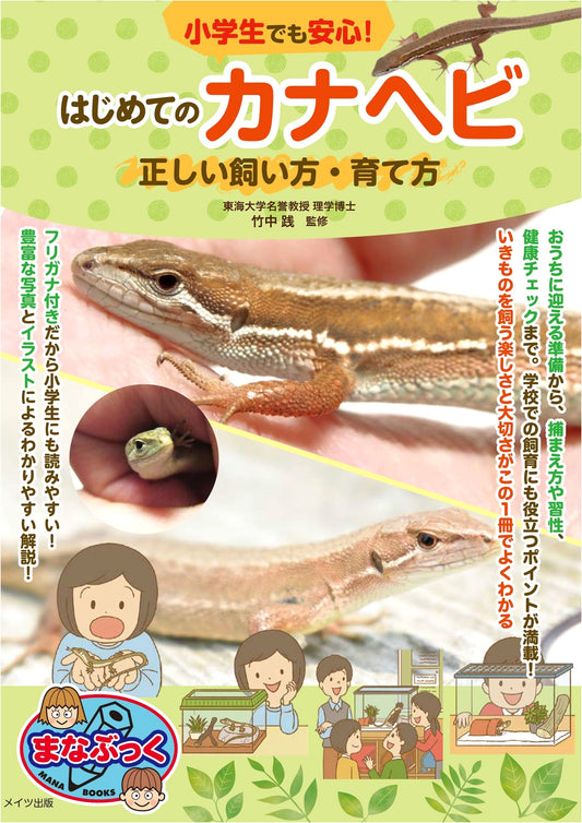 Beginner's Guide to Japanese Grass Lizards: Safe & Proper Care for Kids