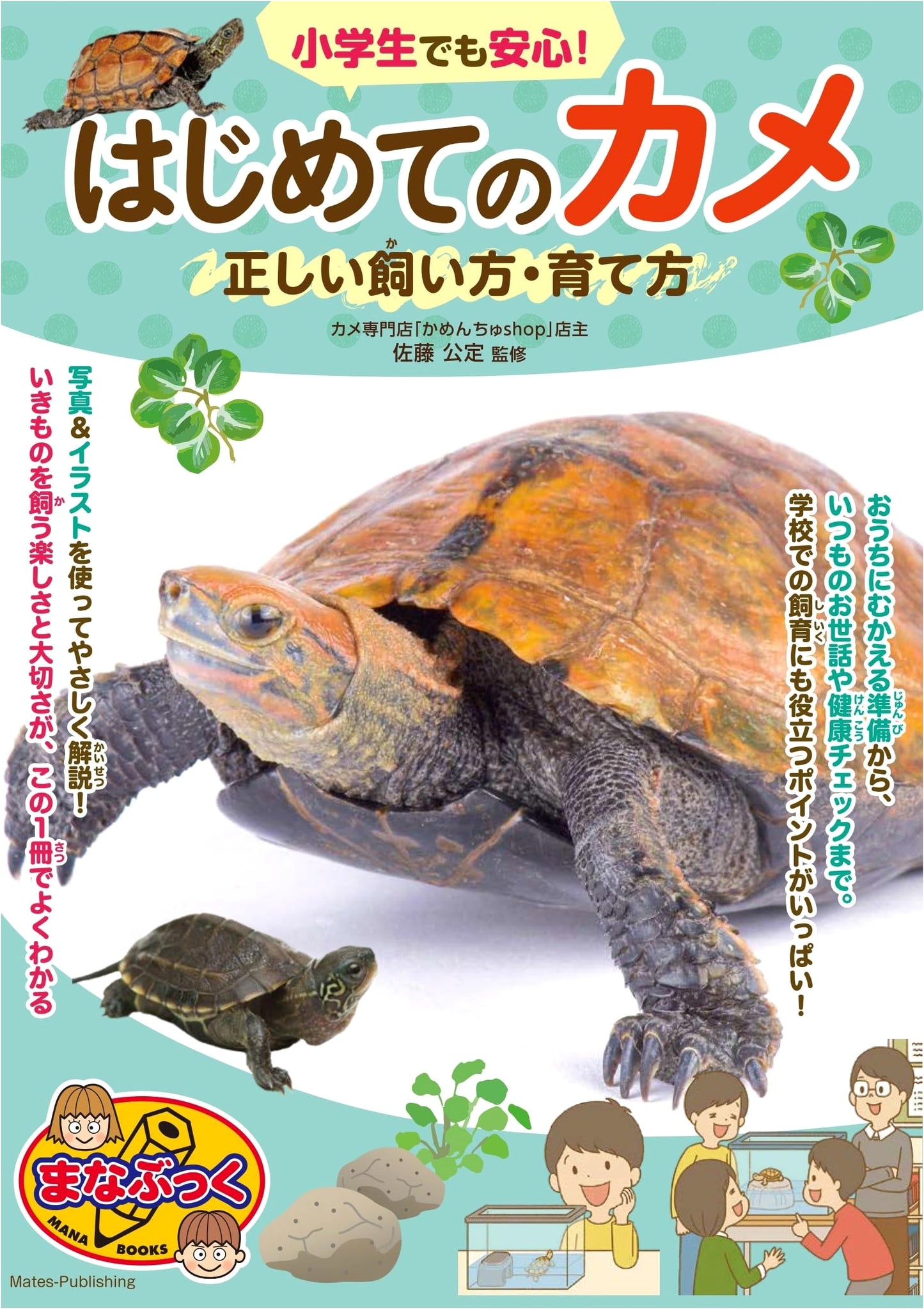 Your First Turtle: A Beginner's Guide to Proper Care (Manabukku Series)
