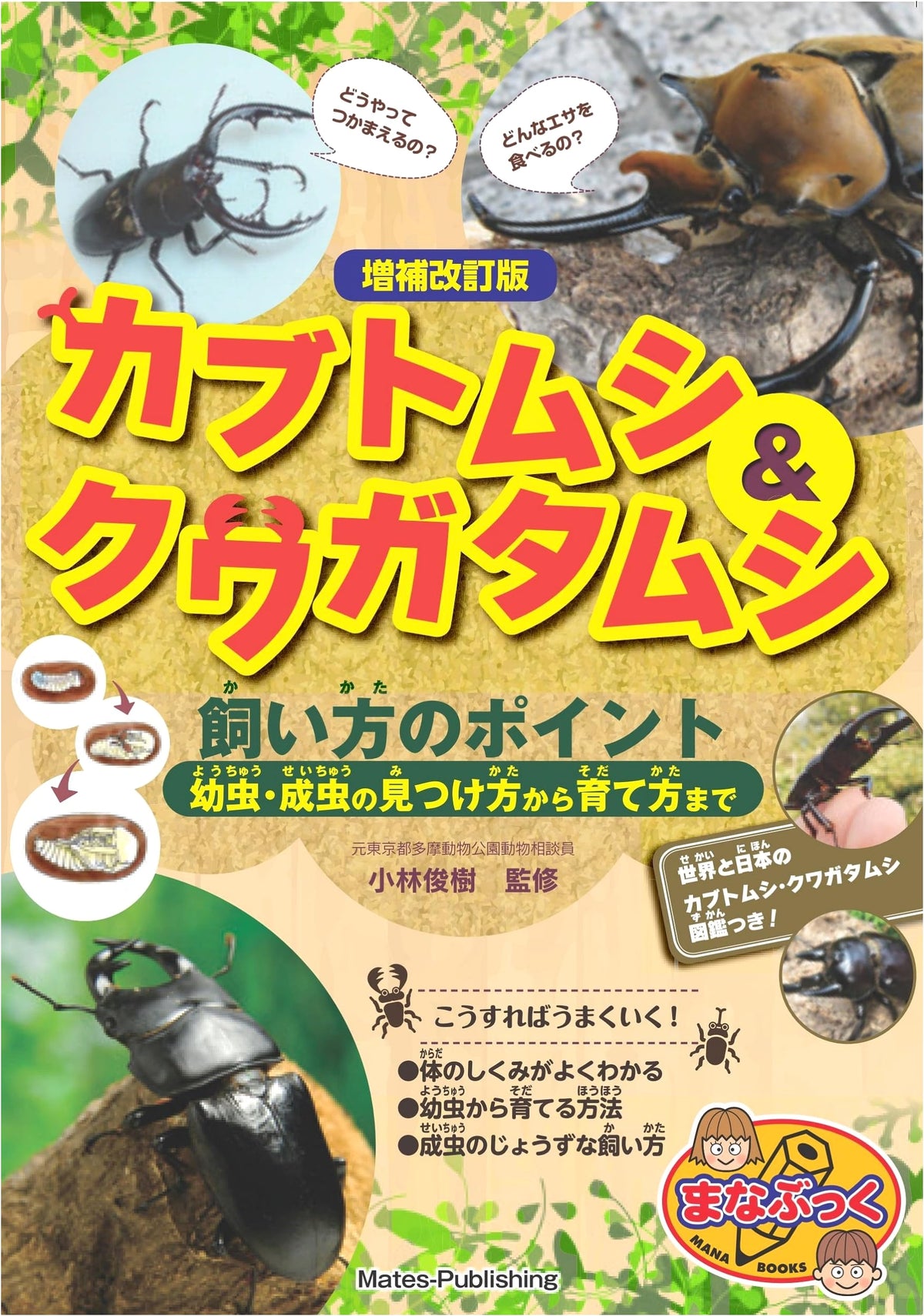 Beetles & Stag Beetles: Rearing Guide - Finding & Raising Larvae & Adults (Manabukku)