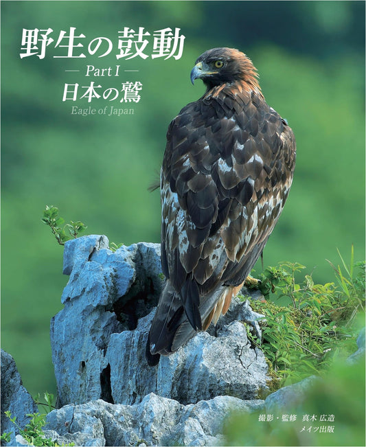 The Wild Pulse, Part I: Eagles of Japan