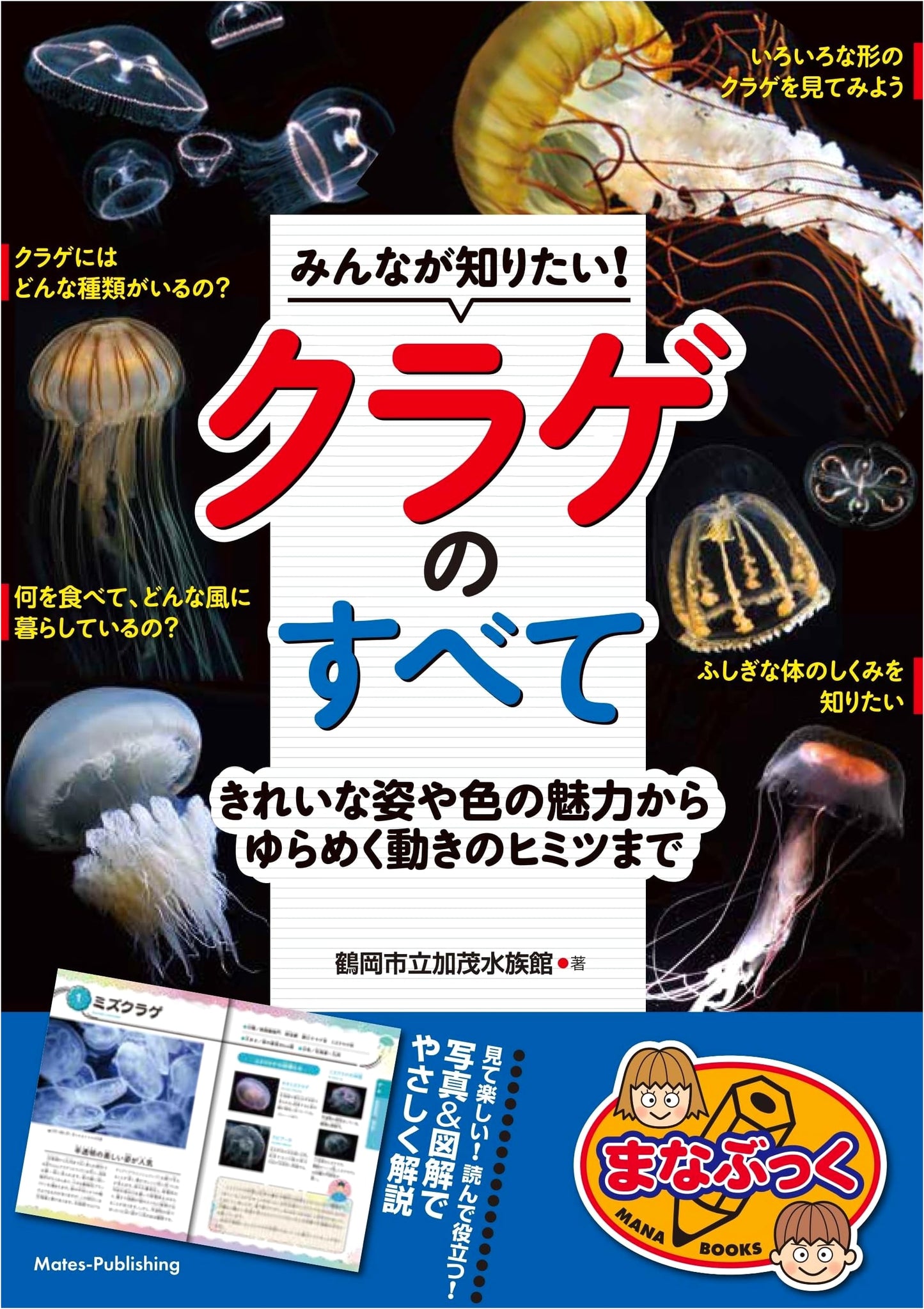 What Everyone Wants to Know: All About Jellyfish - Beauty, Colors, and Movement (Manabukku)