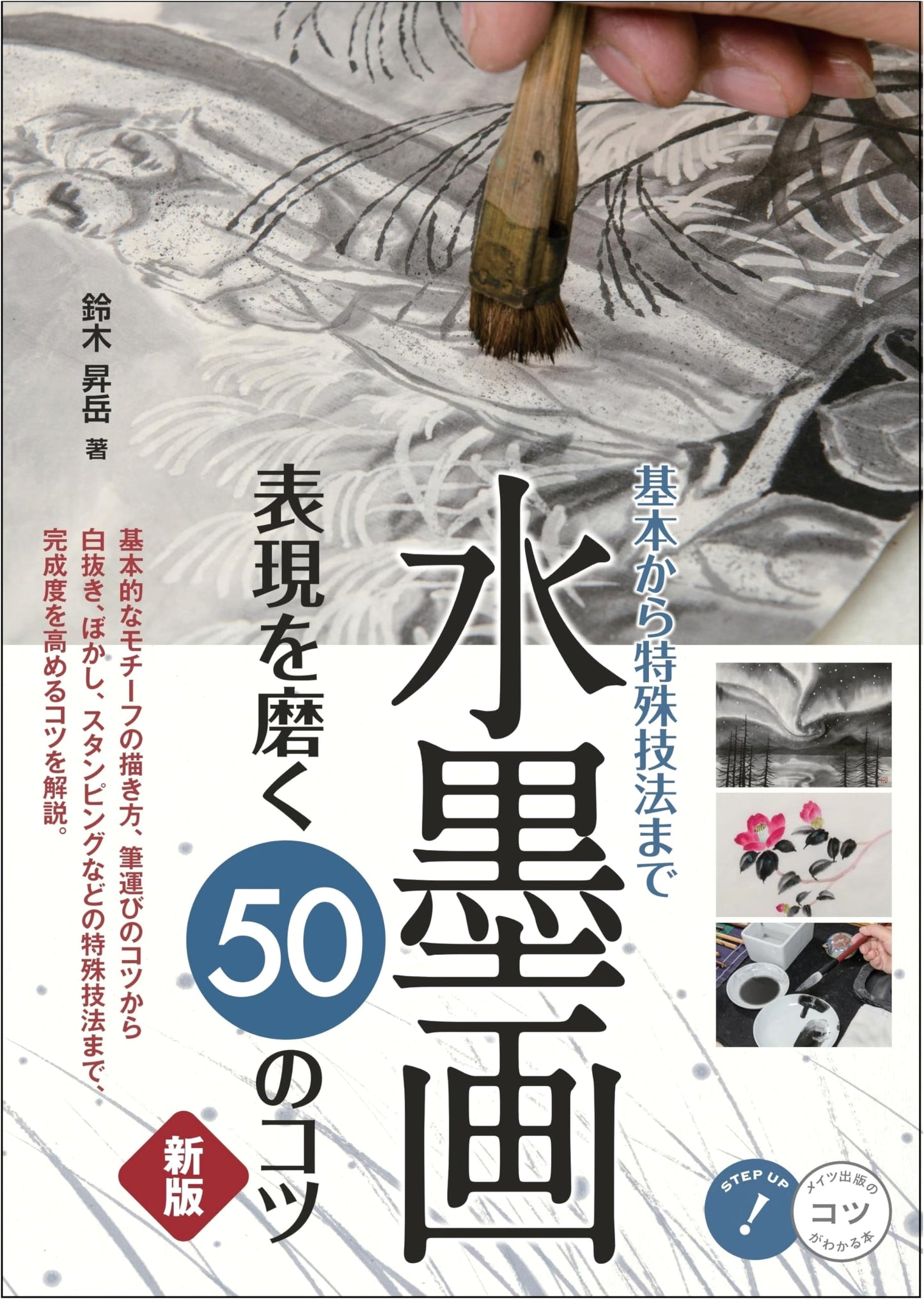 50 Tips to Improve Your Ink Wash Painting: From Basics to Special Techniques by Suzuki Shotaku