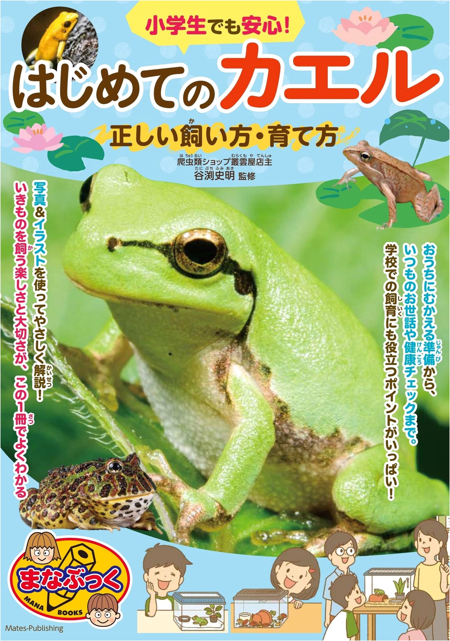Beginner's Guide to Frogs: Proper Care and Raising for Elementary Schoolers