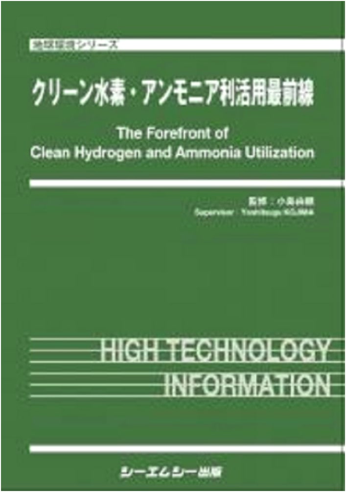 Frontiers in Clean Hydrogen and Ammonia Utilization (Global Environment Series)