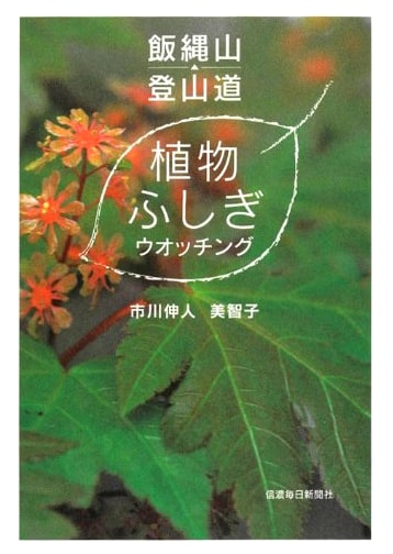 Mt. Iizuna Hiking Trail: A Guide to Fascinating Plants