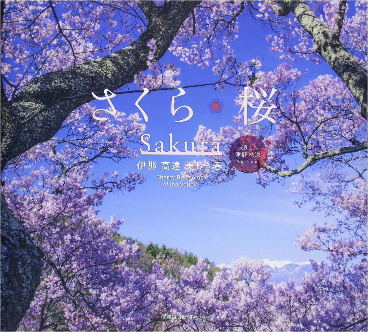Sakura: Cherry Blossoms in Ina Takato by Yuji Tsuno