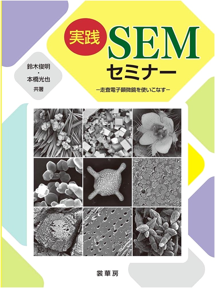 Practical SEM Seminar: Mastering the Scanning Electron Microscope