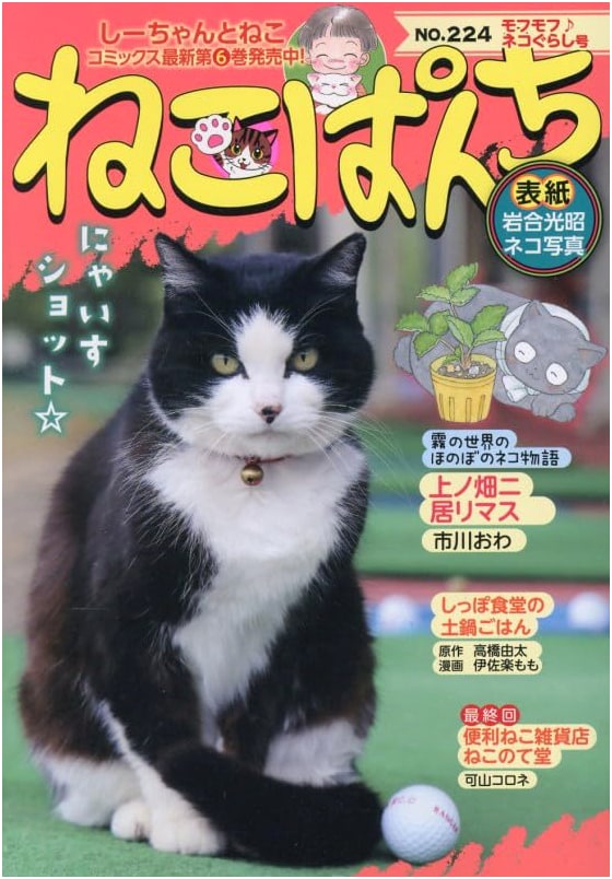 Neko Punch: Fluffy Cat Life Issue (Nyan Comi)