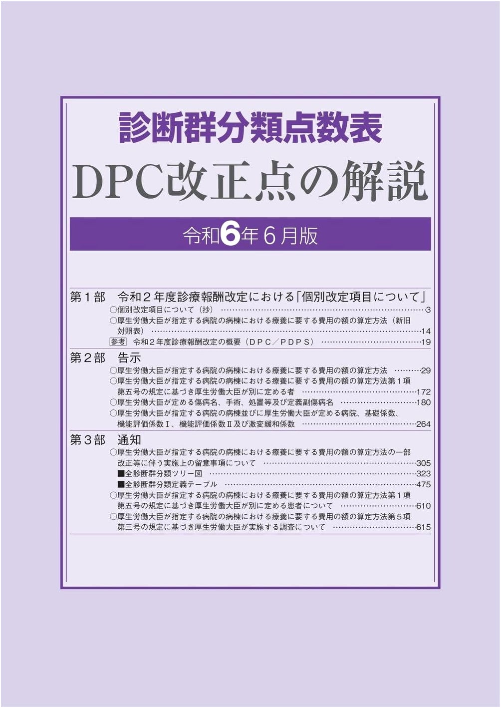 DPC Point Table: Explanation of Revisions (June 2024 Edition)
