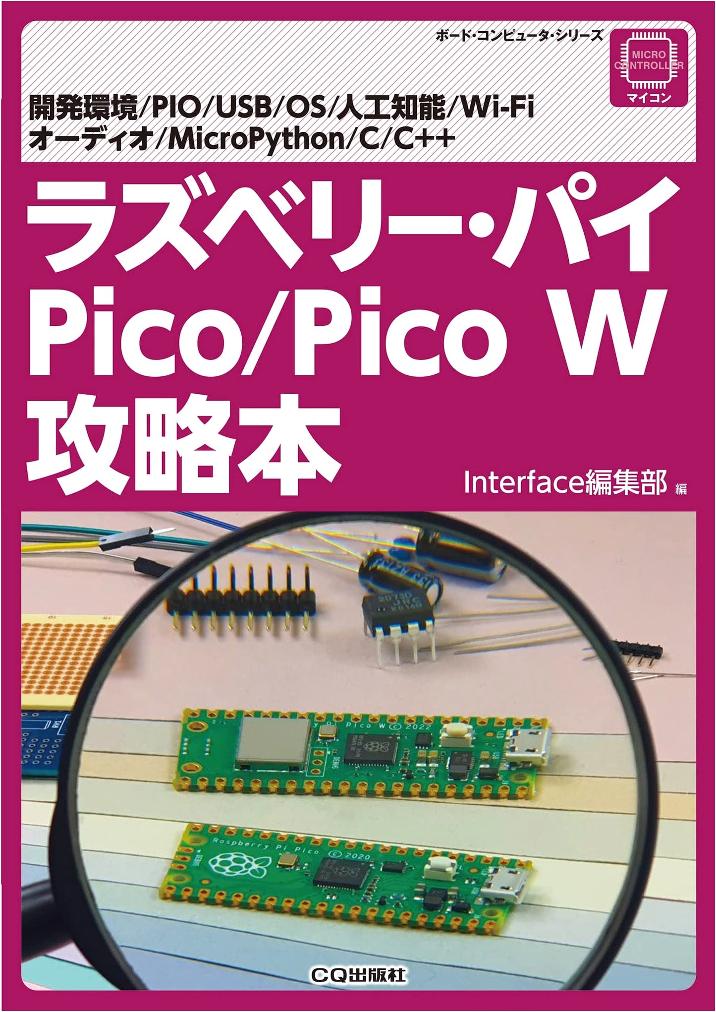 Raspberry Pi Pico/Pico W Strategy Guide (Board Computer Series)