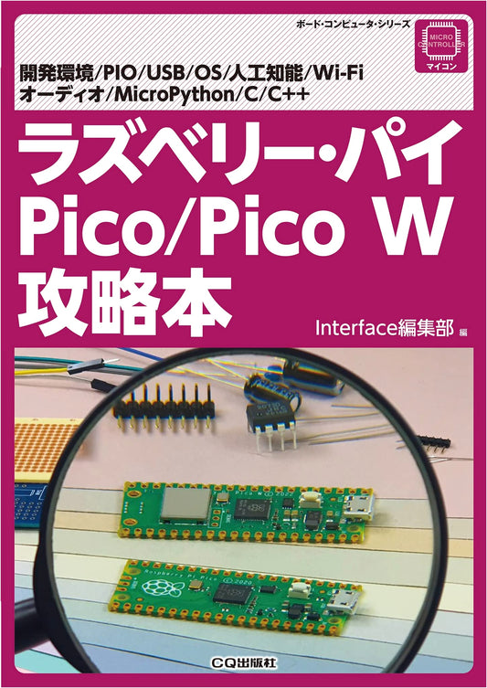 Raspberry Pi Pico/Pico W Strategy Guide (Board Computer Series)