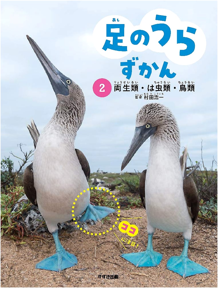 Illustrated Guide to Footprints 2: Amphibians, Reptiles, and Birds