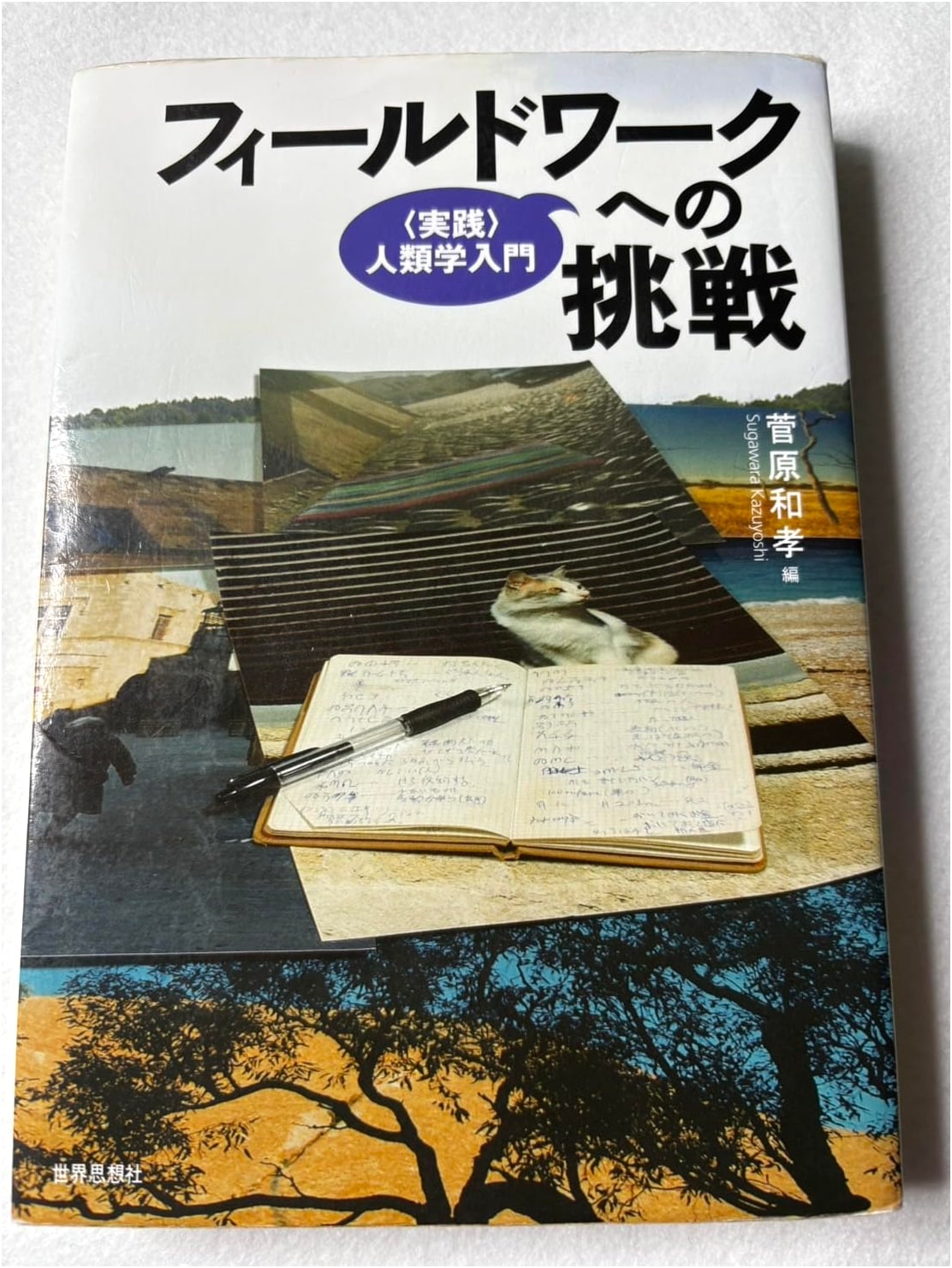 Challenging Fieldwork: An Introduction to Practical Anthropology