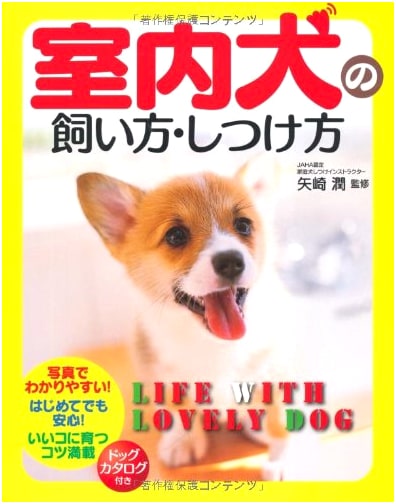 How to Raise and Train Your Indoor Dog