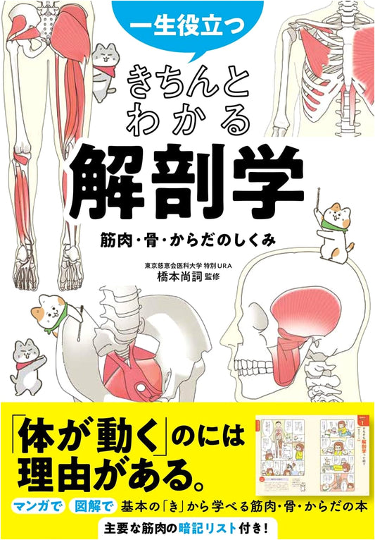 Anatomy: Muscles, Bones, and Body Structure - A Practical Guide