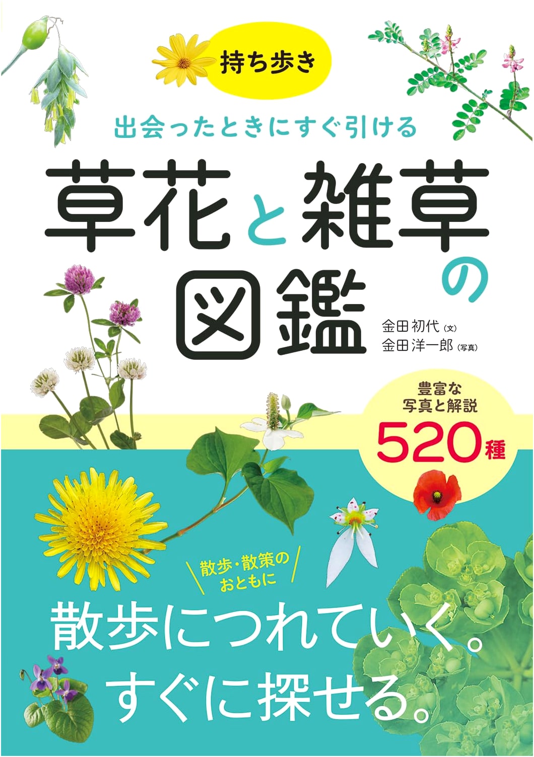 Portable Illustrated Guide to Wildflowers and Weeds: Identify on the Spot