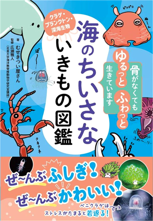 Illustrated Guide to Small Marine Creatures