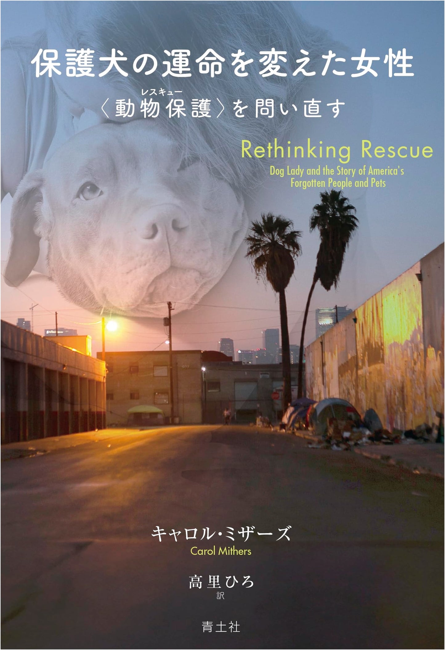 The Woman Who Changed the Fate of Rescue Dogs: Re-examining Animal Protection