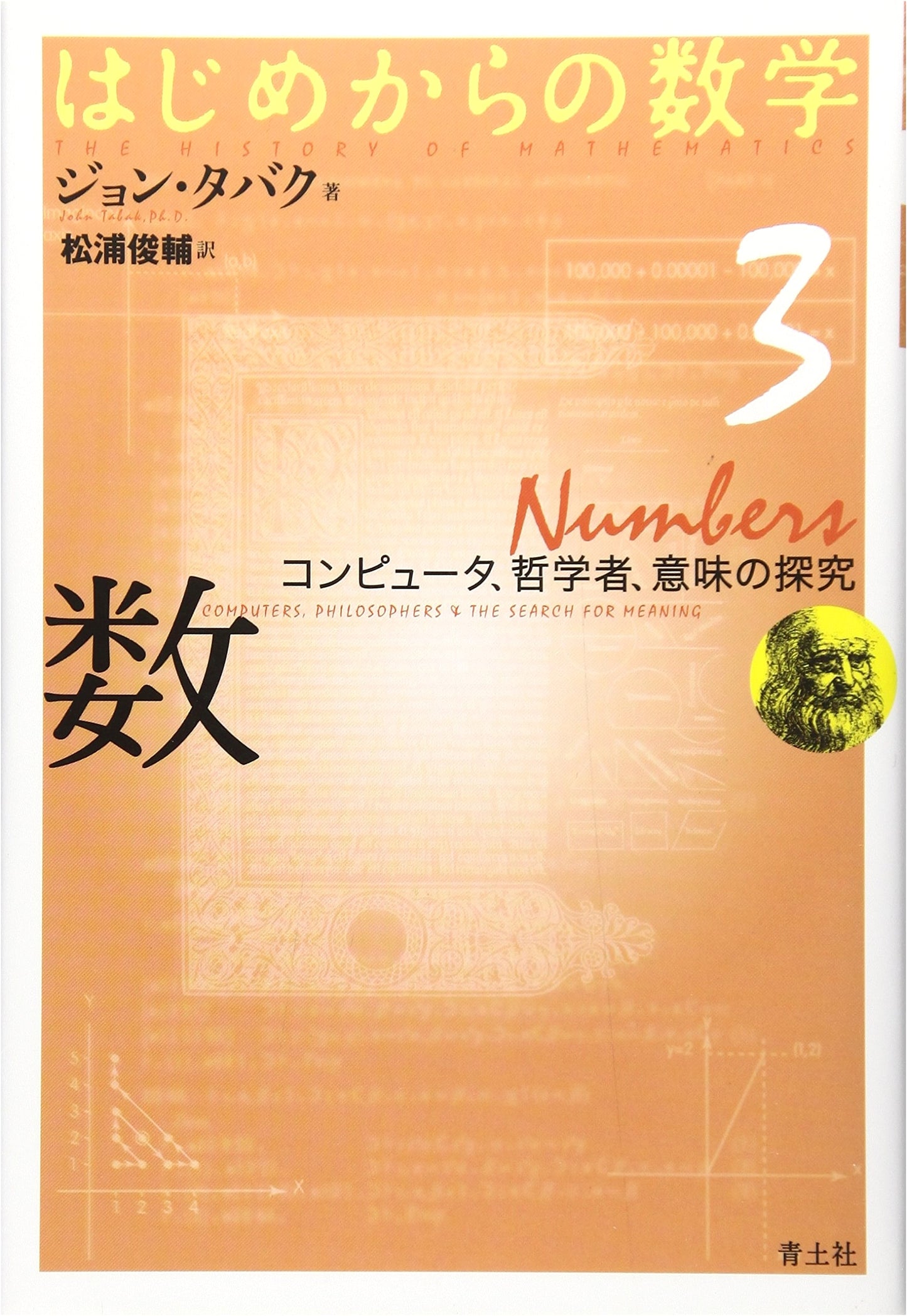 Beginning Mathematics Vol. 3: Numbers, Computers, and the Quest for Meaning