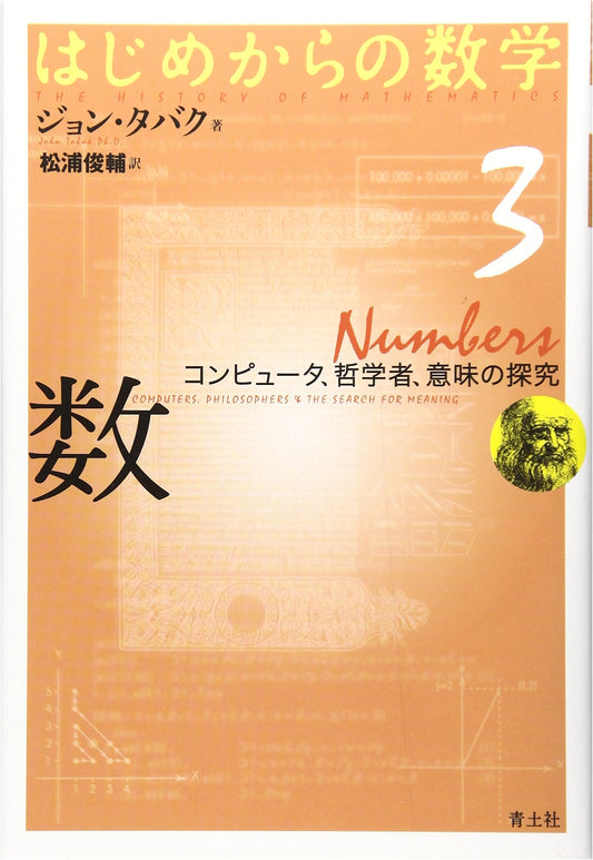 Beginning Mathematics Vol. 3: Numbers, Computers, and the Quest for Meaning