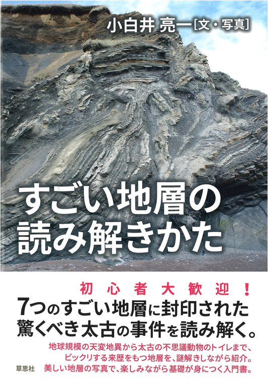 The Amazing Guide to Interpreting Geological Strata