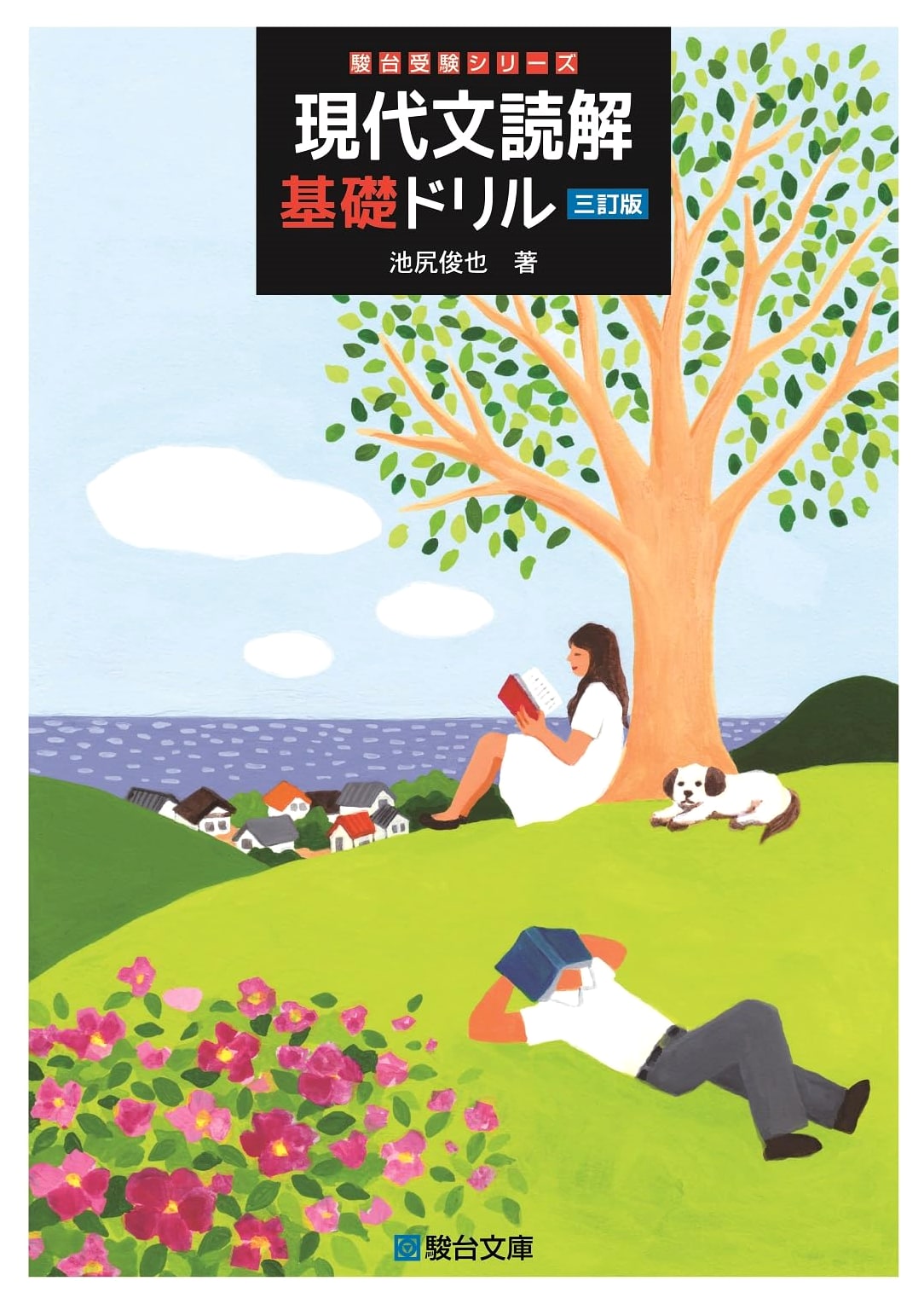 Modern Japanese Reading Comprehension Basics Drill (Sundai Examination Series) by Ikejiri