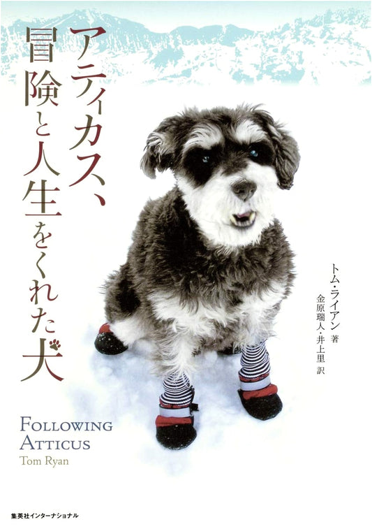 Atticus, The Dog Who Gave Me Adventure and Life