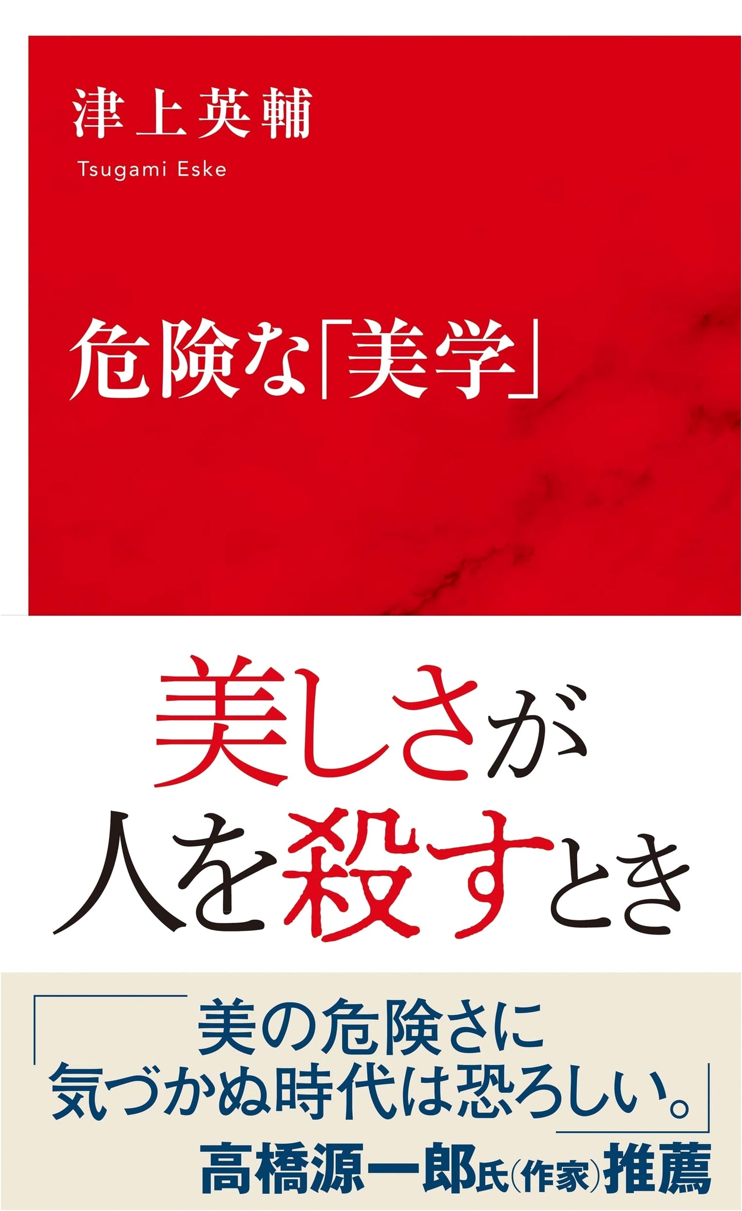 Dangerous 'Aesthetics' (Shueisha International Shinsho)