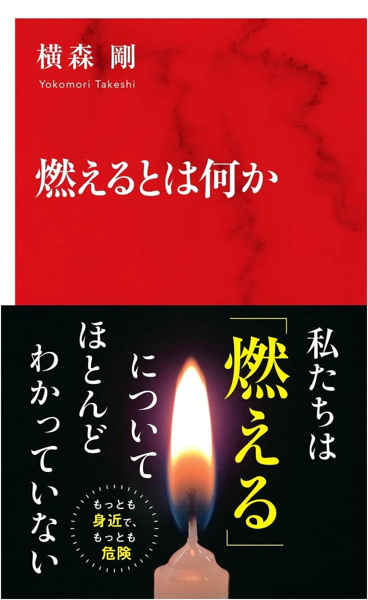 What Does It Mean to Burn?: International Shinsho Series