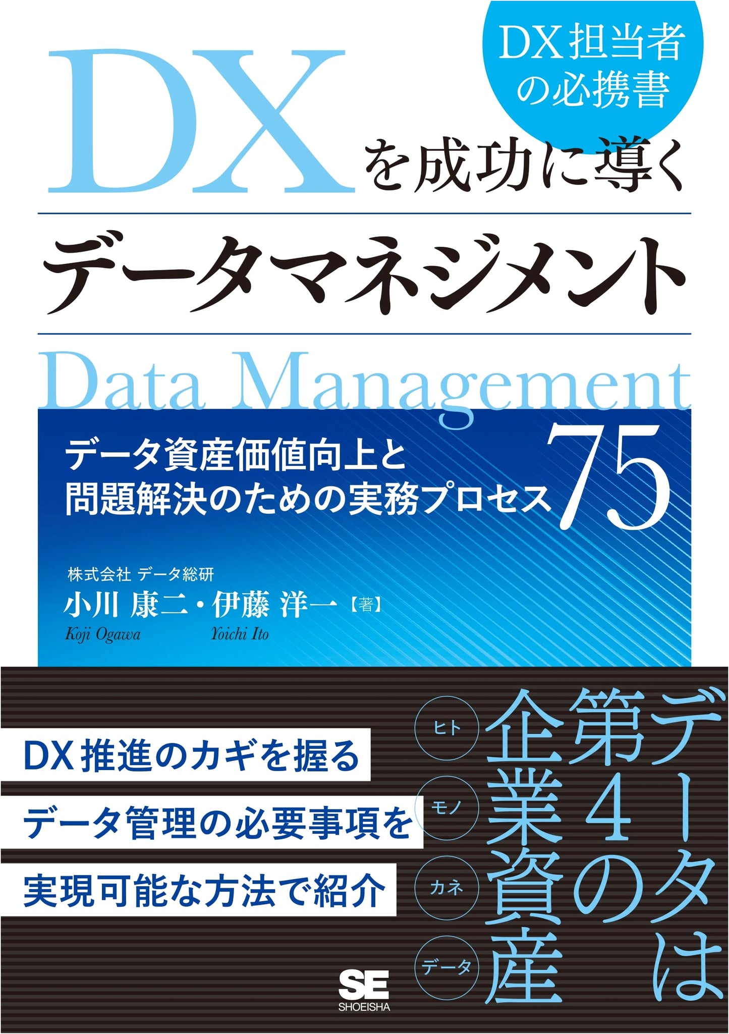 Data Management for Successful DX: 75 Practical Processes for Asset Value & Problem Solving