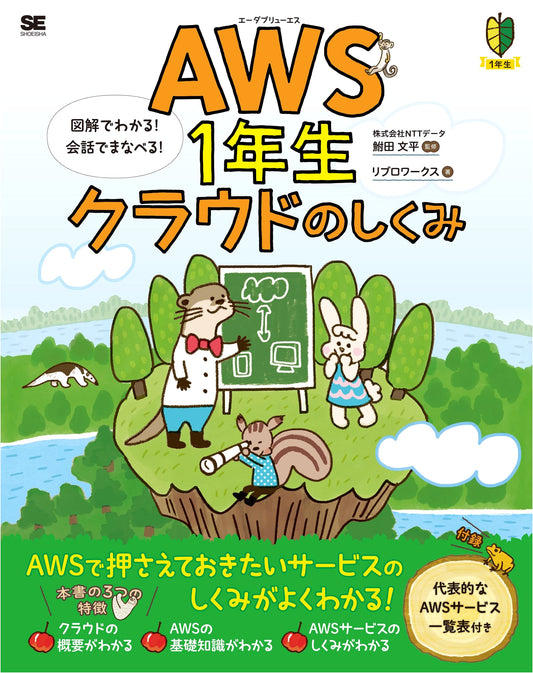 AWS for Beginners: Understand the Cloud with Diagrams & Learn through Conversation