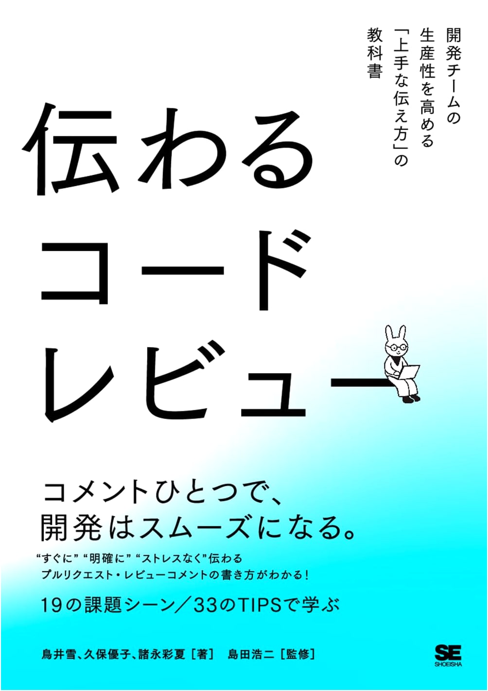 Effective Code Reviews: A Textbook on Communication for Enhanced Team Productivity