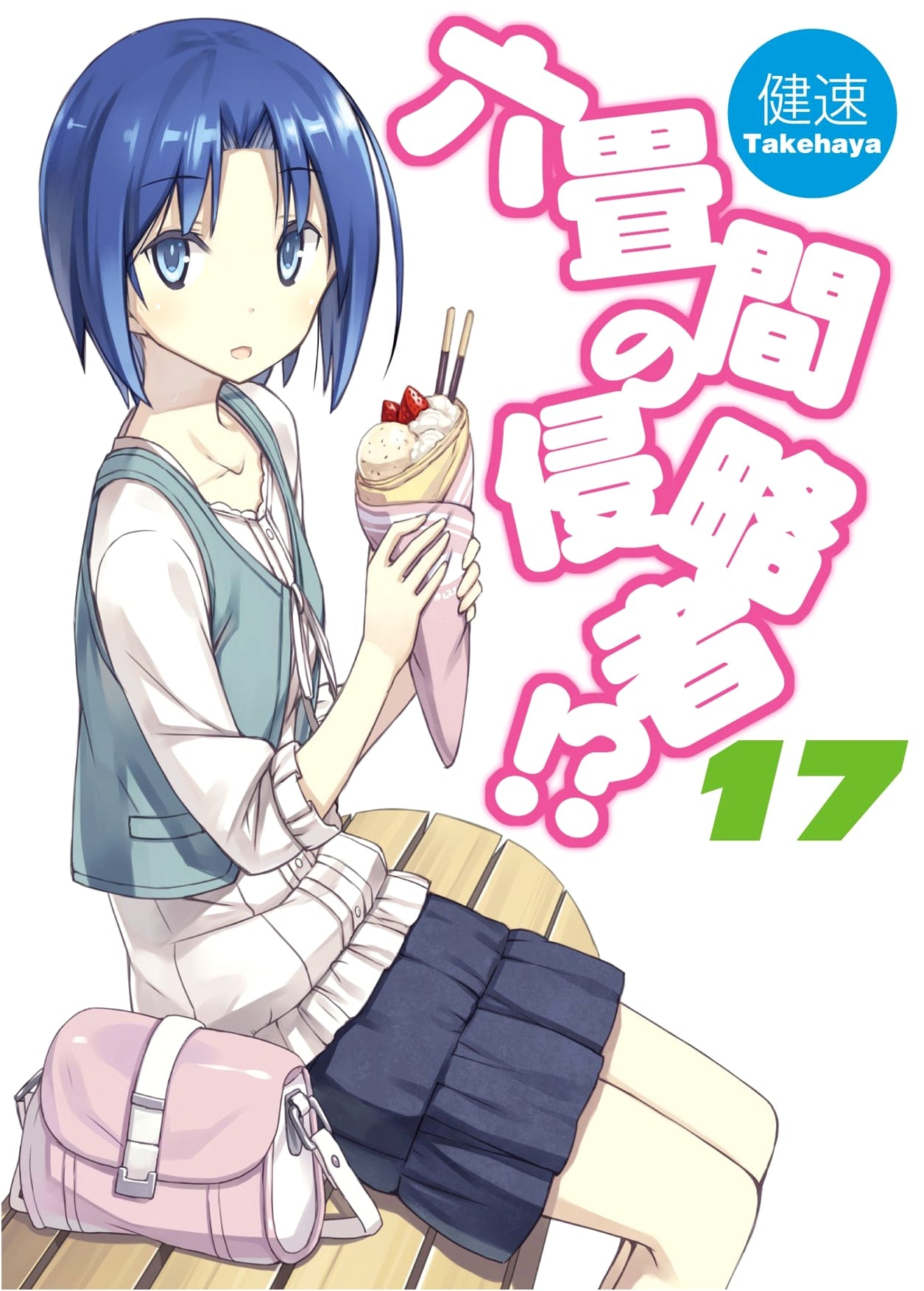 Invaders of the Rokujouma!? Vol. 17 (HJ Bunko)