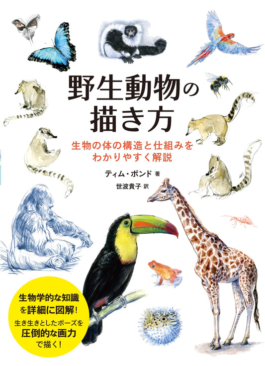 Drawing Wild Animals: A Comprehensive Guide to Anatomy & Form